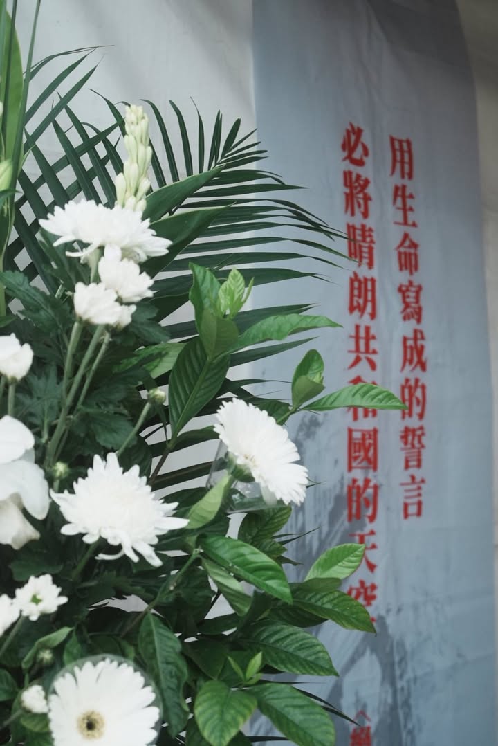 White chrysanthemums offered